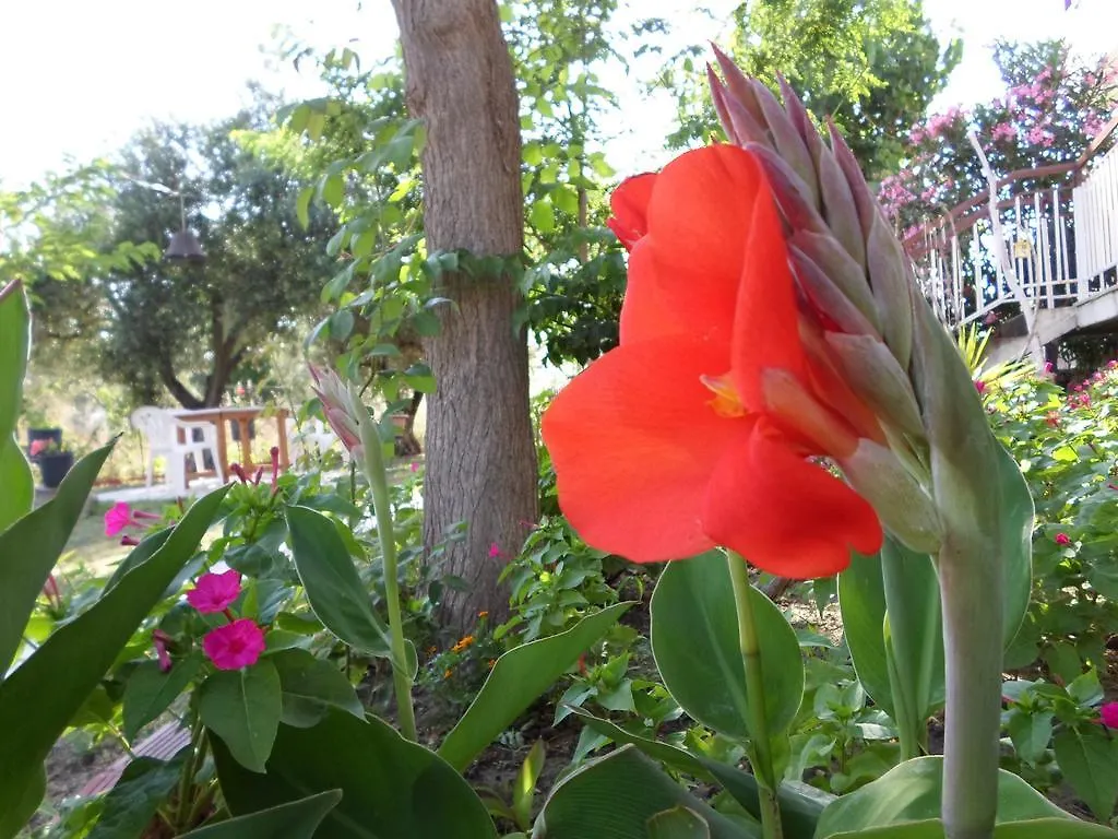 Bozelia Apartments Toroni Greece